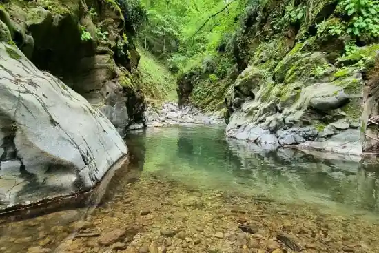 دریاچه جنگل خشتنگه