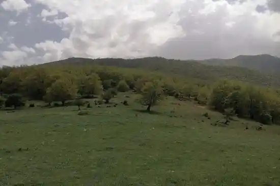 دشت تخت پری