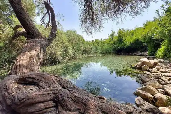 برکه شاه غیب