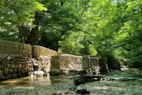 چشمه پاچنار