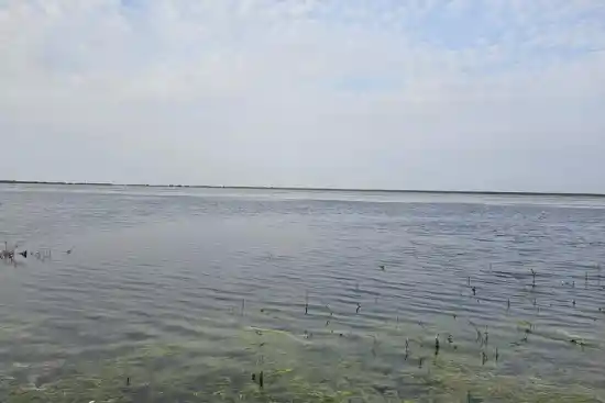 دریاچه آلماگل