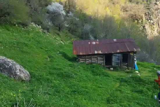 ییلاق خاش بیلی