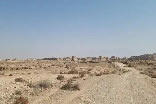 کلوت های چاوشی