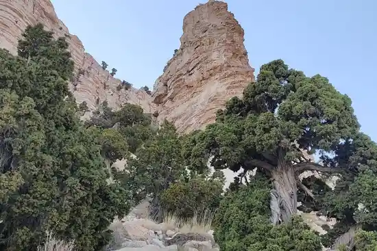 تنگه جلال