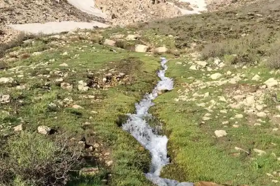 چشمه انجیر چک