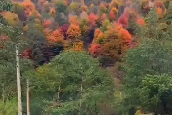 جاده املش بلوردکان