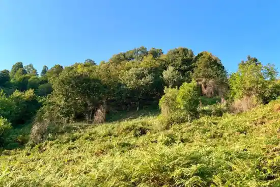 قلعه کوتول شاه