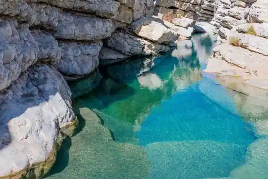 چشمه تنگ پرستو