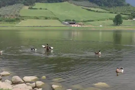 آبندان شفیع آباد