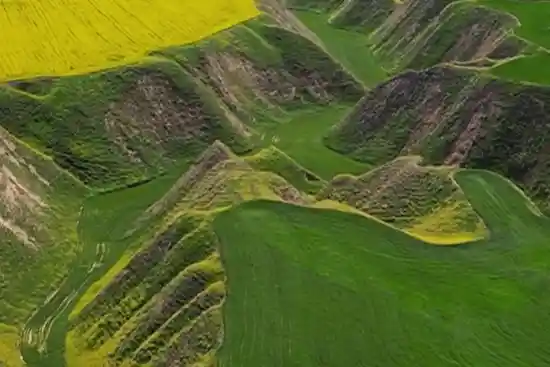 دشت هزاردره