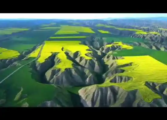 ویدیو کوتاه دشت هزاردره