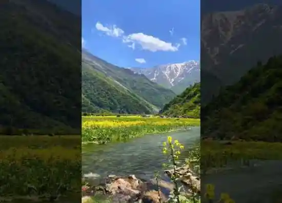 ویدیو کوتاه دشت دریاسر