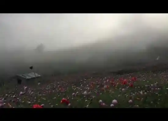 ویدیو کوتاه دشت سلانسر