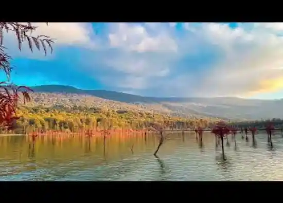 ویدیو کوتاه دریاچه الندان