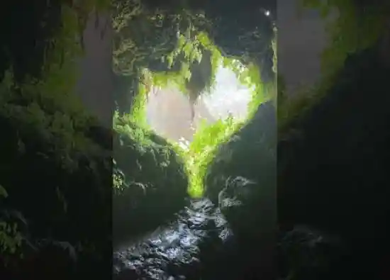 ویدیو کوتاه تنگه لیموها