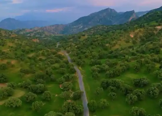 روستای المور