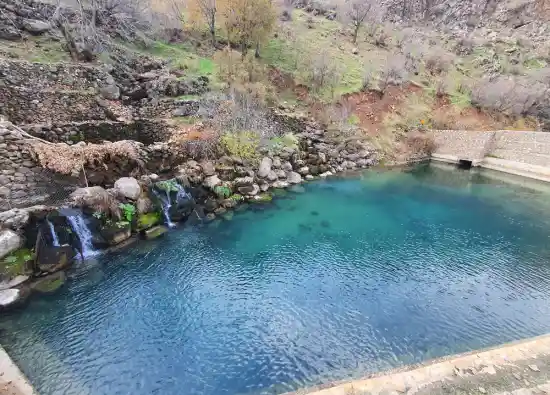 چشمه دیوزناو