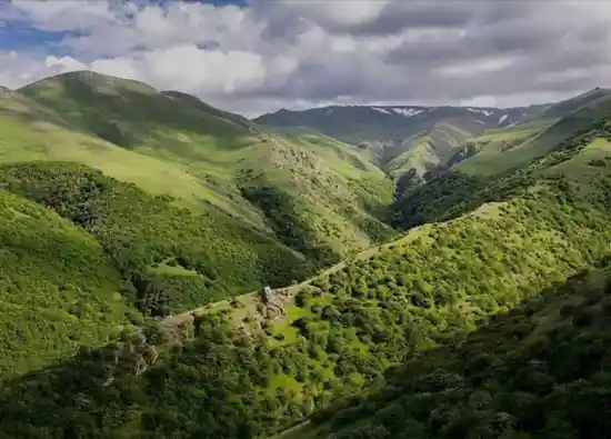 جنگل حاتم مشه سی