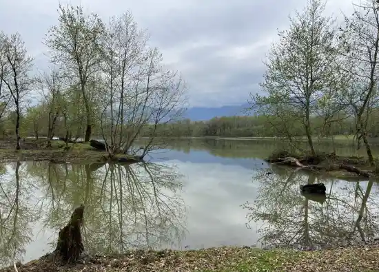 دریاچه جوربند