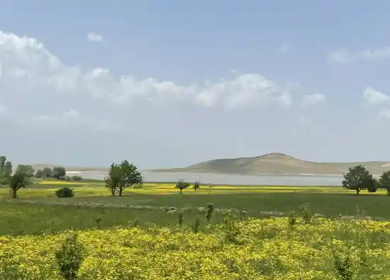 سد ملایعقوب