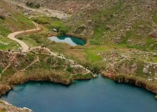 آکواریوم سیاه گل