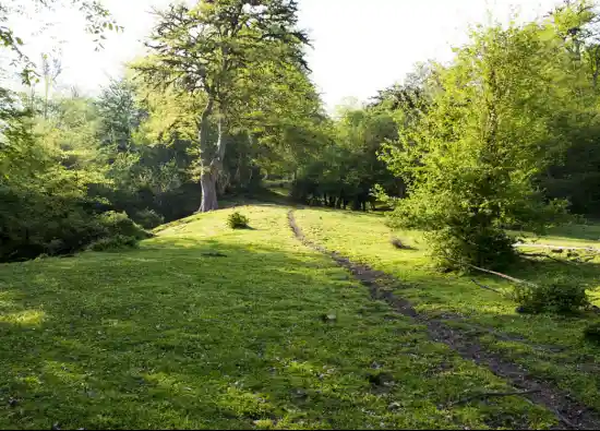 پارک جنگلی کشپل