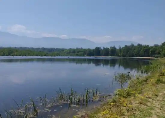 آبگیر دارجار