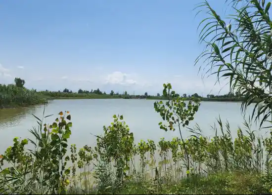 تالاب خنجری