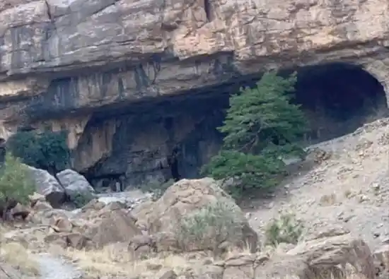 زیارت سیجون