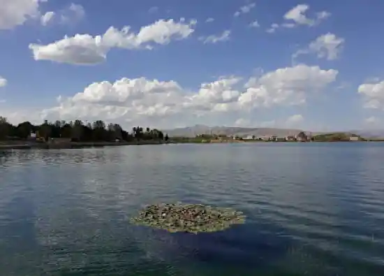 سراب نیلوفر