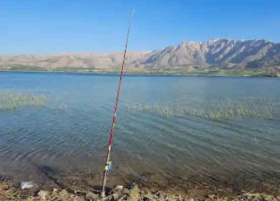 دریاچه چغاخور