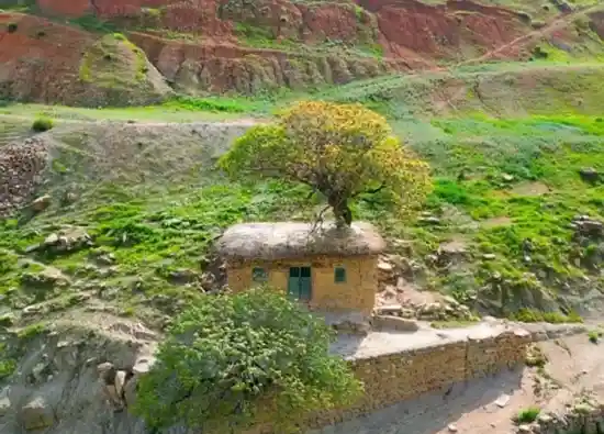 امامزاده محمد بیژگن