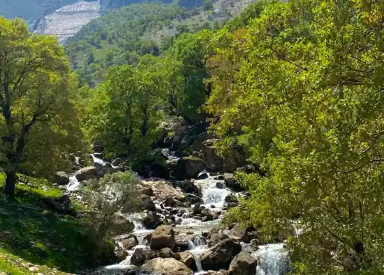 تنگه کینی دروزنه