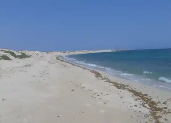 جزیره هندورابی