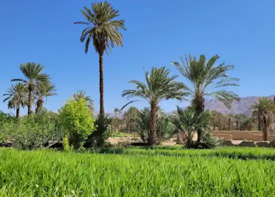 روستای اصفهک