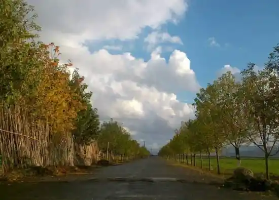 روستای چقاگینو