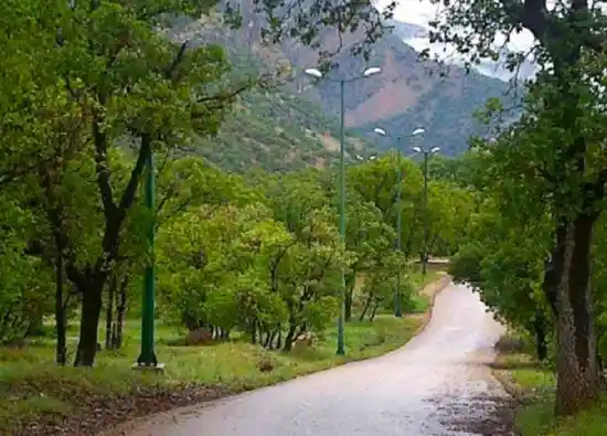 پارک جنگلی تشبندان