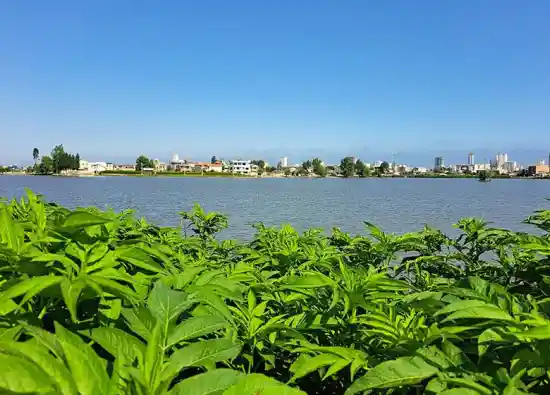 مرداب سرخرود