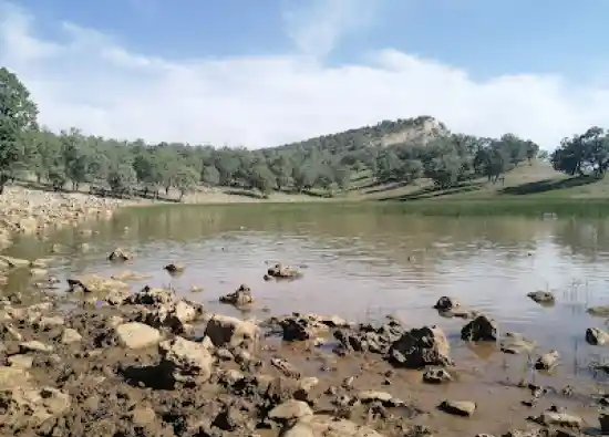 دریاچه بیوره