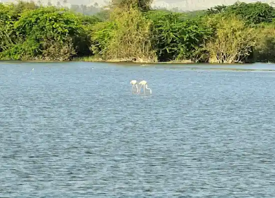 تالاب فصلی کندال