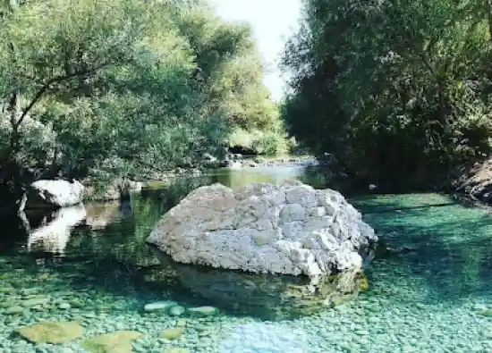 چشمه انجیری