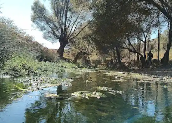 بیشه زار بابا شاه حسین