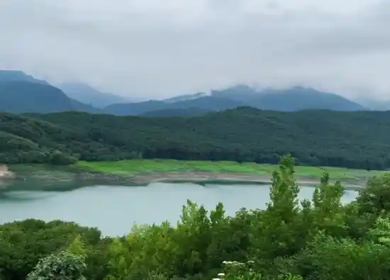 دریاچه لفور