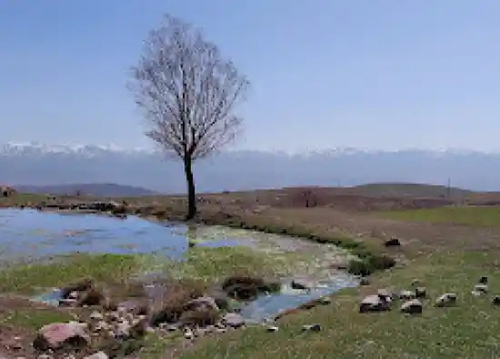 چشمه ممی بلاغی پیراغاج