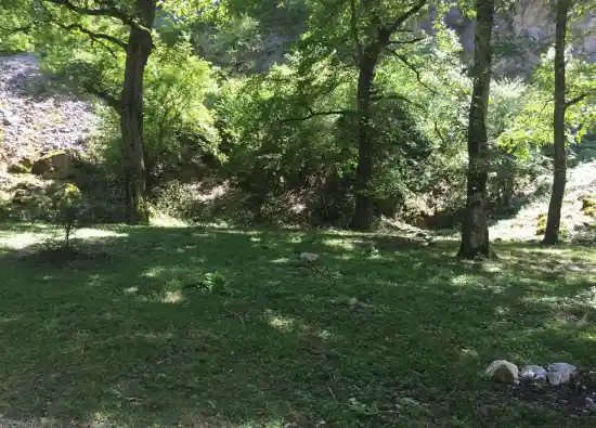 جنگل کجور به سیسنگان