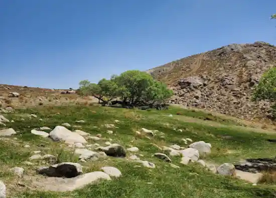 دره نازی سخوید