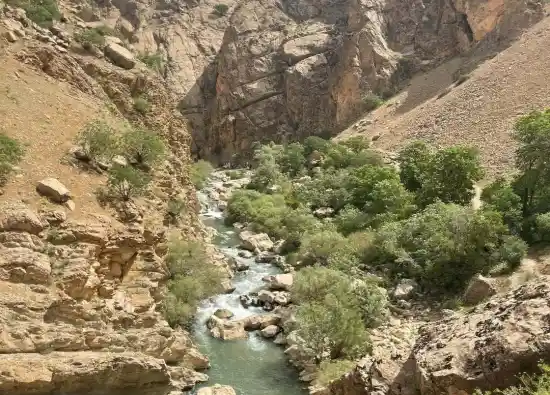 تفرجگاه بنسپر