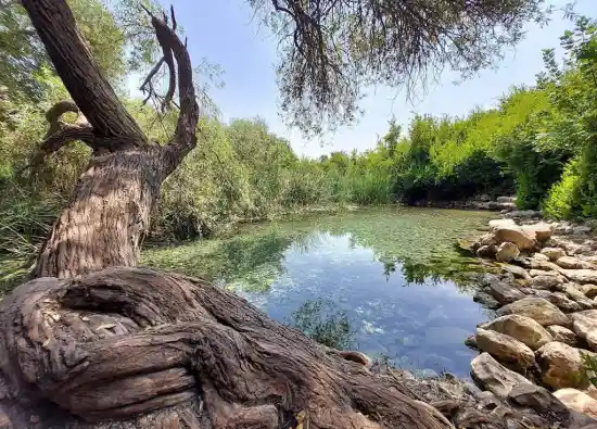 برکه شاه غیب