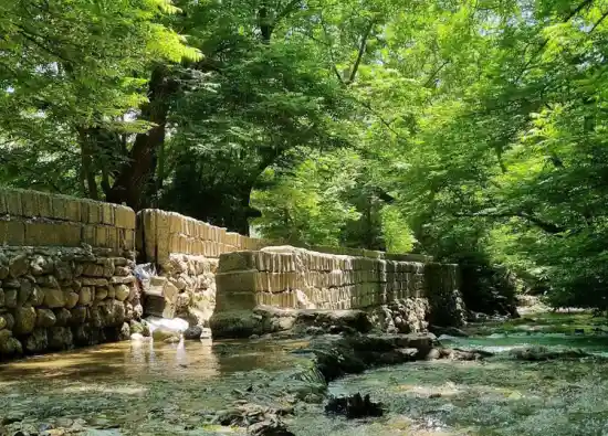 چشمه پاچنار