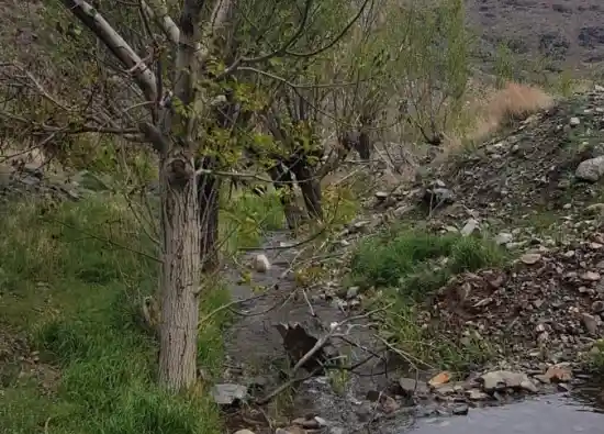 روستای وشنوه